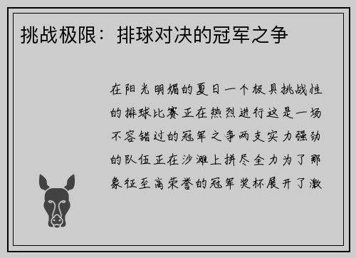 挑战极限：排球对决的冠军之争